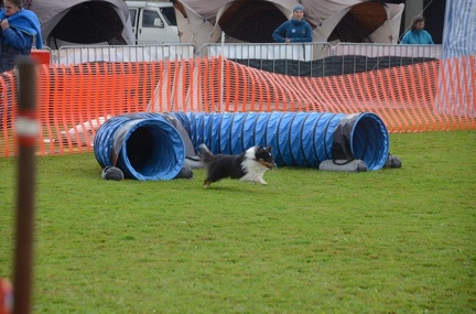 5-Agility-Laendle-Cup-218