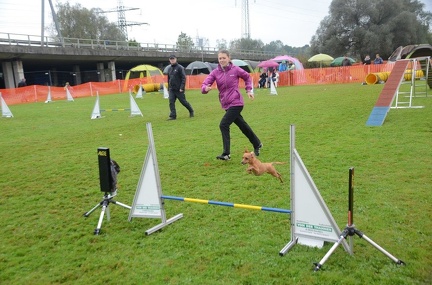 5-Agility-Laendle-Cup-262