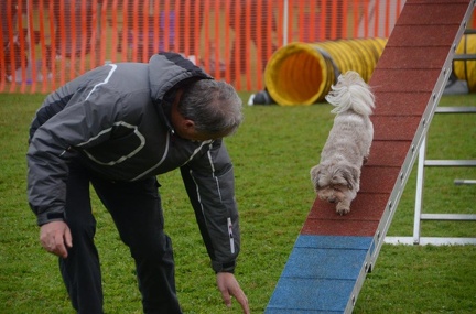 5-Agility-Laendle-Cup-264