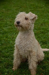 5-Agility-Laendle-Cup-285