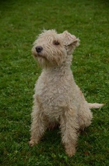 5-Agility-Laendle-Cup-286