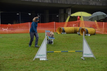5-Agility-Laendle-Cup-310