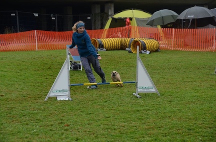 5-Agility-Laendle-Cup-311