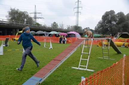 5-Agility-Laendle-Cup-312