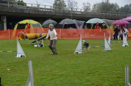 5-Agility-Laendle-Cup-314