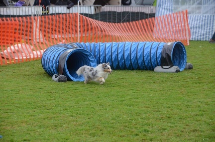 5-Agility-Laendle-Cup-330