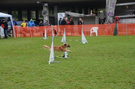 5-Agility-Laendle-Cup-348