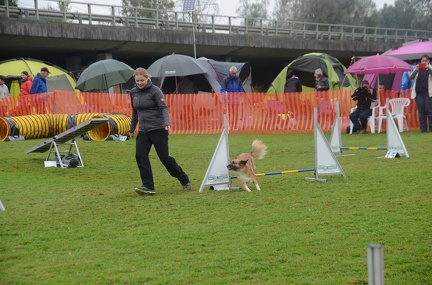 5-Agility-Laendle-Cup-350