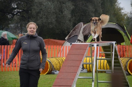 5-Agility-Laendle-Cup-351