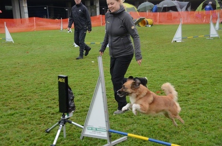 5-Agility-Laendle-Cup-352
