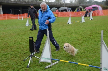 5-Agility-Laendle-Cup-369