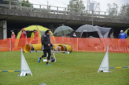 5-Agility-Laendle-Cup-371
