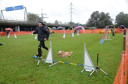 5-Agility-Laendle-Cup-373