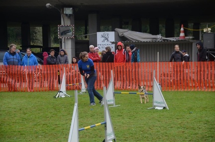 5-Agility-Laendle-Cup-391
