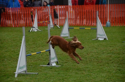 5-Agility-Laendle-Cup-415