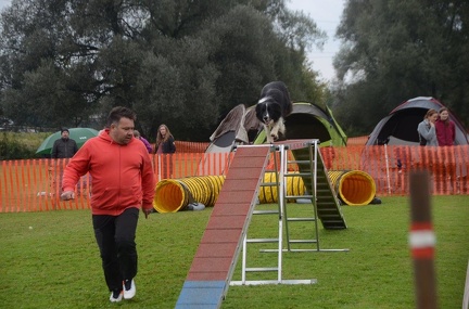 5-Agility-Laendle-Cup-435