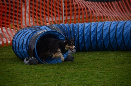 5-Agility-Laendle-Cup-437