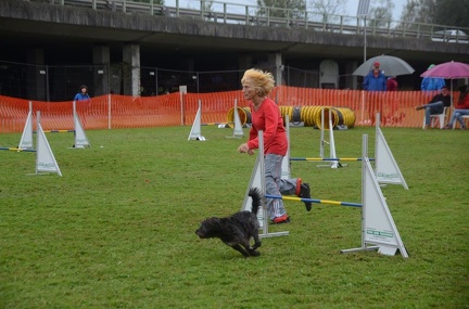 5-Agility-Laendle-Cup-482