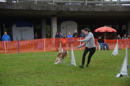 5-Agility-Laendle-Cup-484