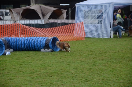5-Agility-Laendle-Cup-485