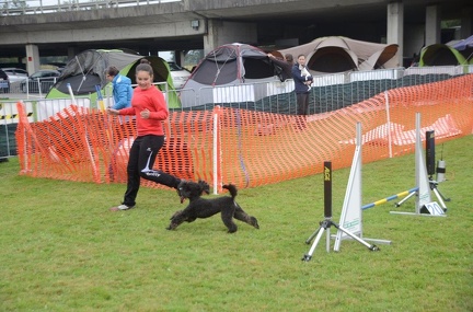 5-Agility-Laendle-Cup-501