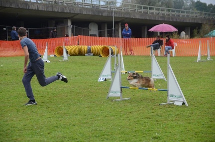 5-Agility-Laendle-Cup-502