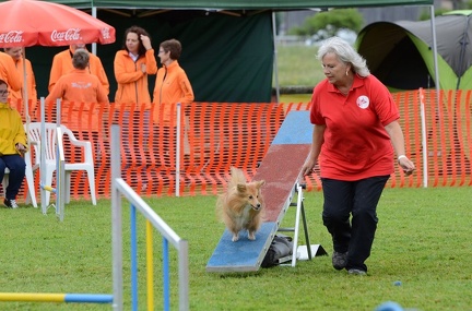 k-3 AGI Laendlecup-350