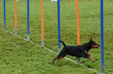 k-3 AGI Laendlecup-359