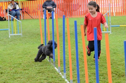 k-3 AGI Laendlecup-377