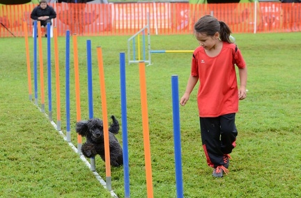 k-3 AGI Laendlecup-380