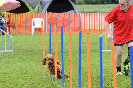 k-3 AGI Laendlecup-395