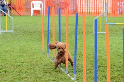 k-3 AGI Laendlecup-396