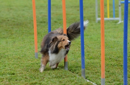 k-3 AGI Laendlecup-439