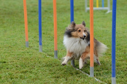 k-3 AGI Laendlecup-441