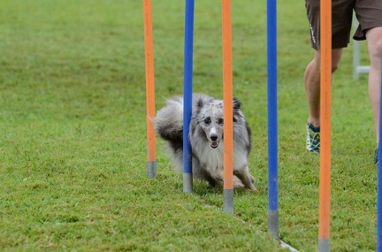 k-3 AGI Laendlecup-443