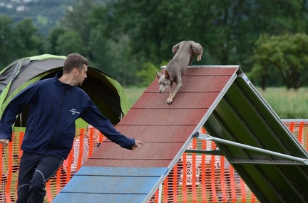 k-3 AGI Laendlecup-447