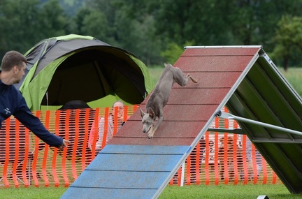 k-3 AGI Laendlecup-448