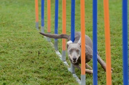 k-3 AGI Laendlecup-453