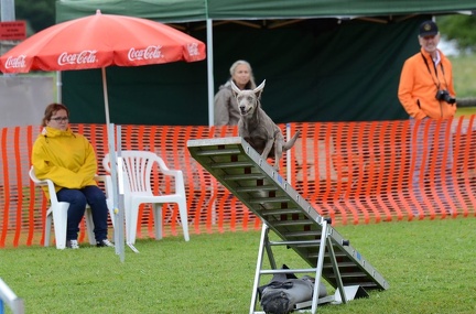 k-3 AGI Laendlecup-456