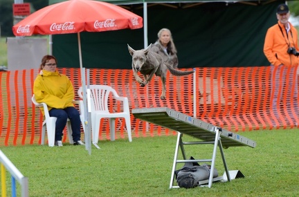 k-3 AGI Laendlecup-457