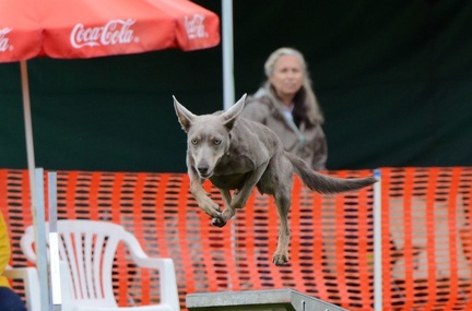 k-3 AGI Laendlecup-458