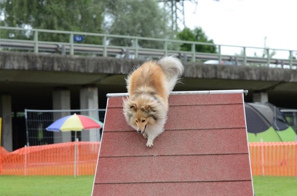 k-3 AGI Laendlecup-459