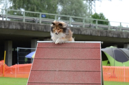 k-3 AGI Laendlecup-462