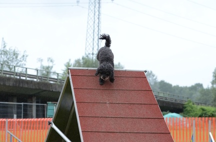 k-3 AGI Laendlecup-469