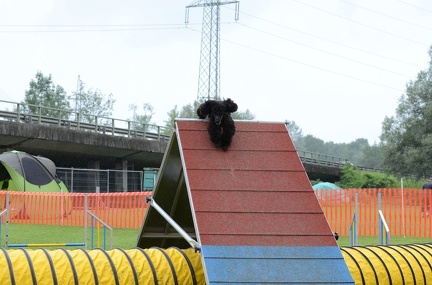 k-3 AGI Laendlecup-472