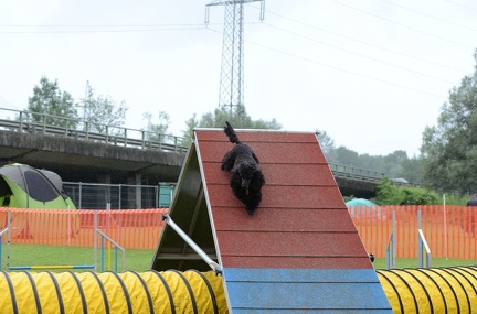 k-3 AGI Laendlecup-473