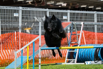 1 Agility-Laendlecup-22-04-2018 103