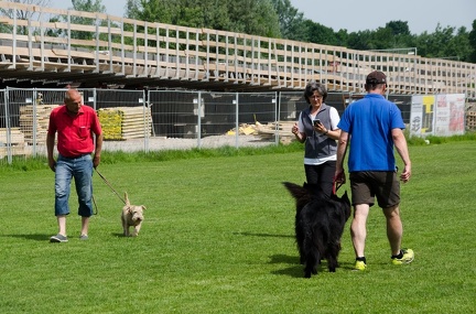 Warm UP und Cool Down  08