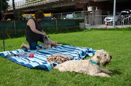 Warm UP und Cool Down  12