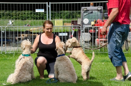 Warm UP und Cool Down  15